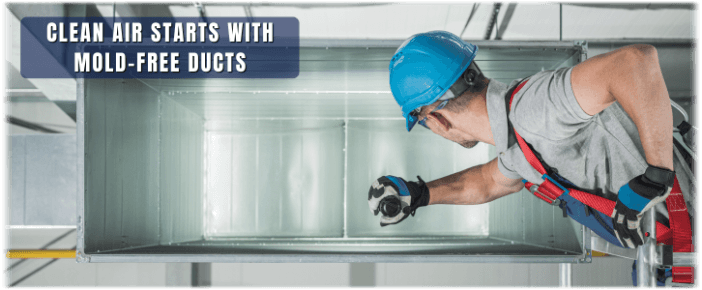Air Duct Mold Removal in Alpharetta GA