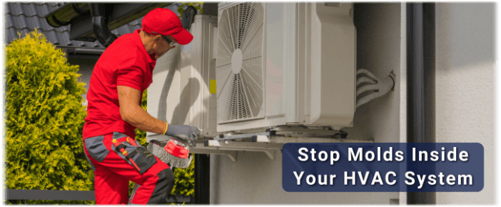 HVAC Mold Removal Alpharetta GA